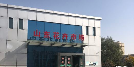 山东省卉市场