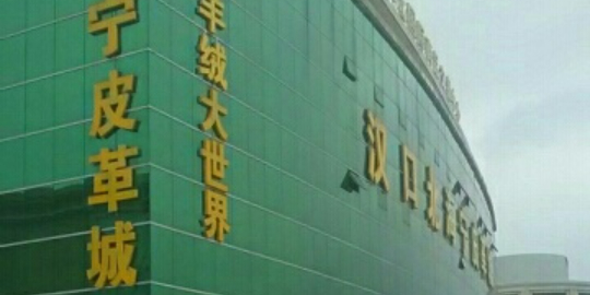 武汉市黄陂区汉口北货运中心东侧约260米