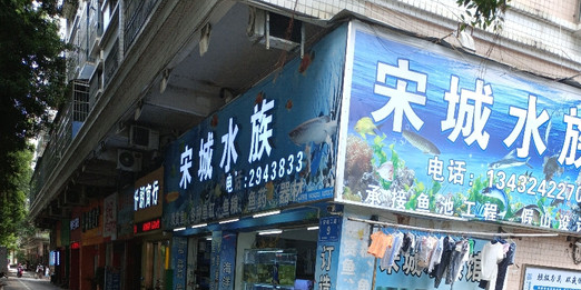 宋城水族