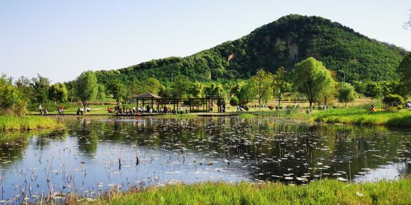 凤凰山湿地公圆