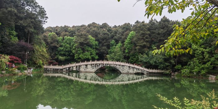 铁山坪草野星空露营基地