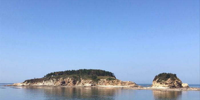 小石岛钓鱼赶海公园