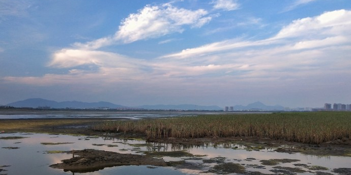 潮汐湖湿地公园