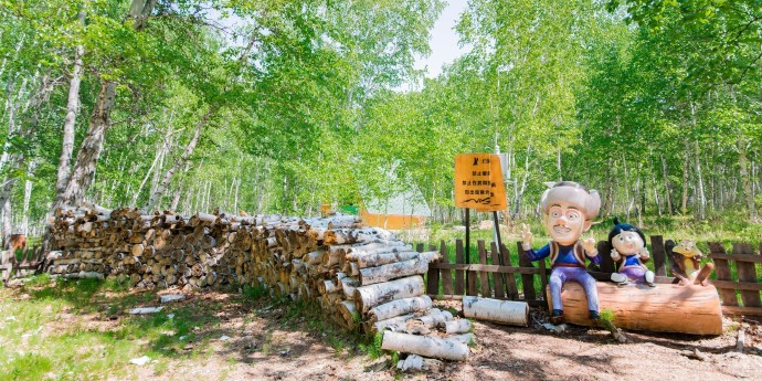 白桦林景区