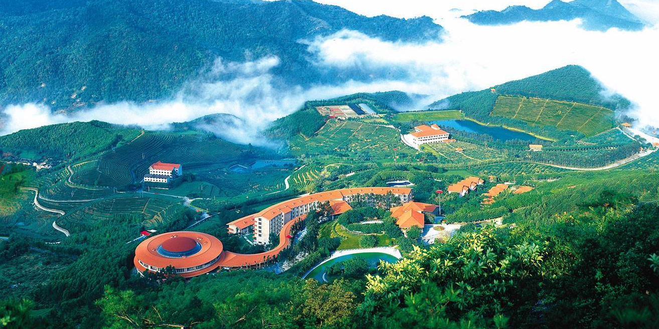 雁南飞茶田景区