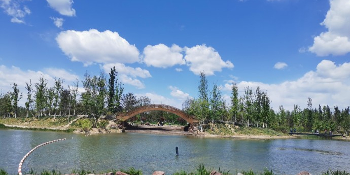 白各庄生态湿地