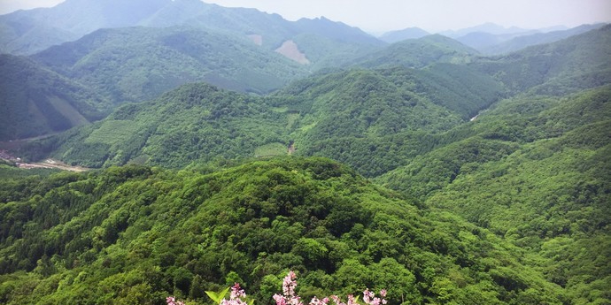 辽宁省抚顺市抚顺县抚金线