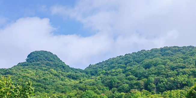 擂鼓台森林公