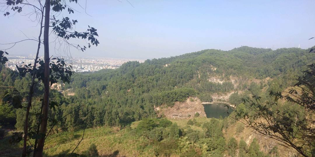 白云山原史森林公园-六片田