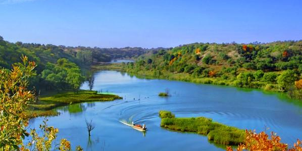 大青沟国家级自然保护区