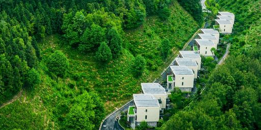 黄山水云田