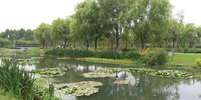 光谷三路湿地公园