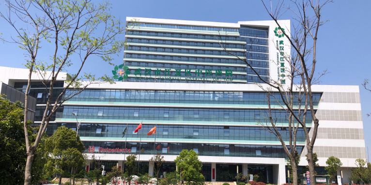 武汉市江夏区中医医院(新院区)