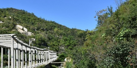 秋山原生态自然风景区