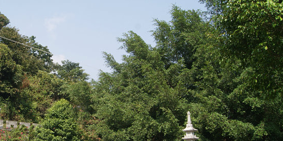 魁星岩风景区