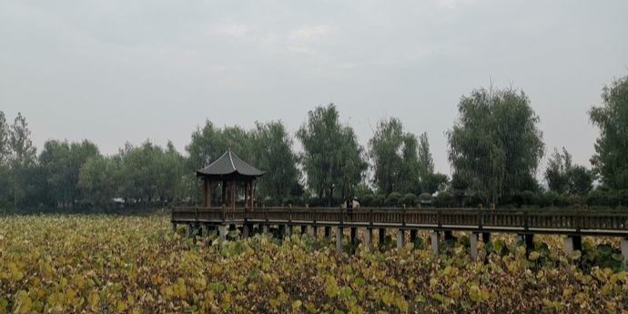 濮阳毛楼生态旅游区