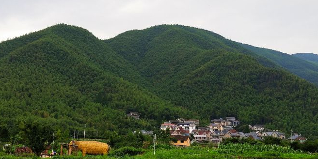 仙潭村景区