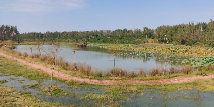 漯河沙河湿地公园图片