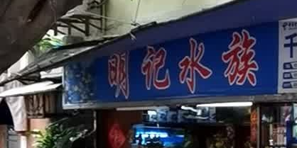 明记水族