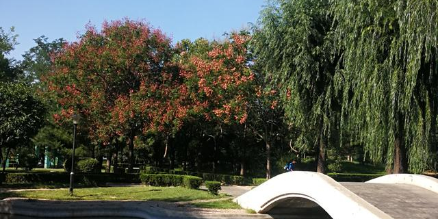 惠丰公园