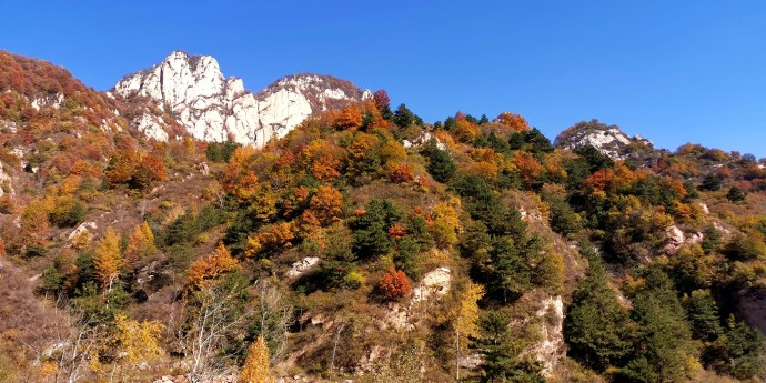 石家庄老虎头森林公园