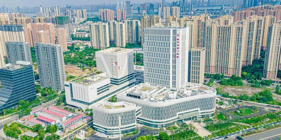 武汉市第八医院(后湖院区)
