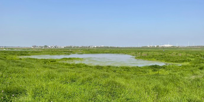 府河湿地