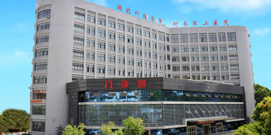 湖北科技学院附属第二医院