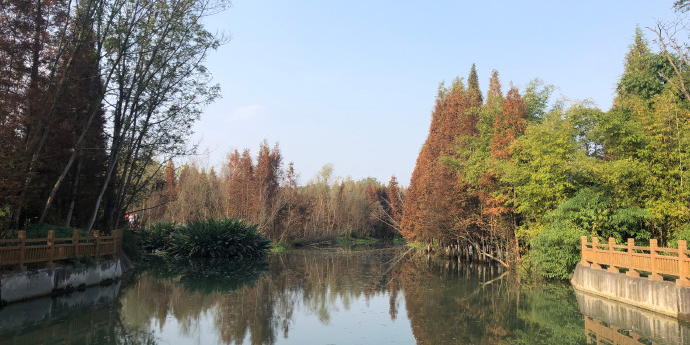 桤木河湿地公园