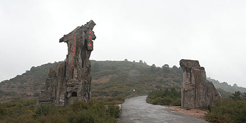 天龙山风景