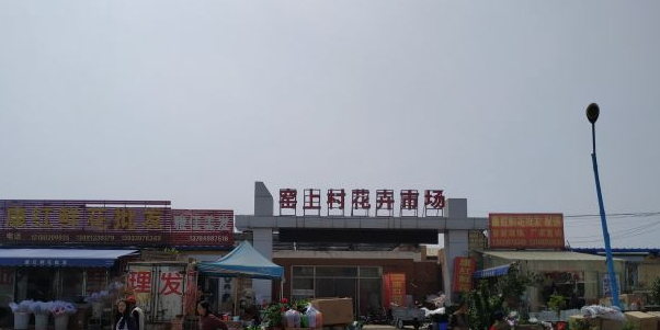 窑上村花卉基地