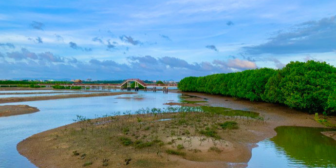 万亩红树林景区