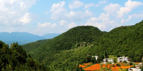 天坑地缝国家重点风景名胜区