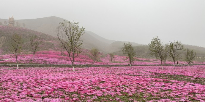 将君山辽疆生态公园