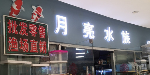 月亮水zu(0690绿色生活广场店)