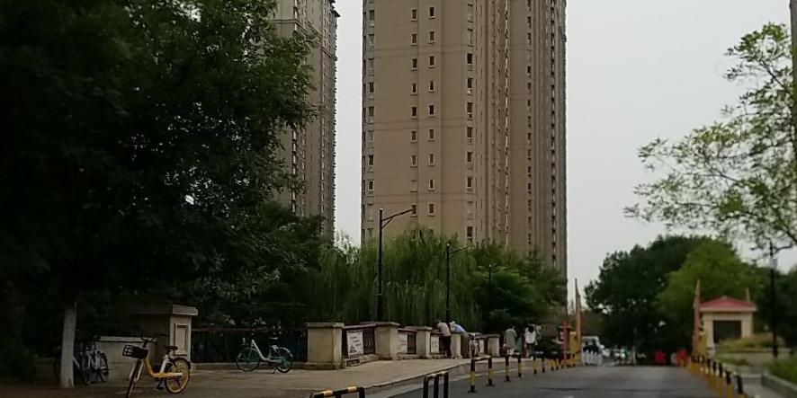 保丽玫瑰湾