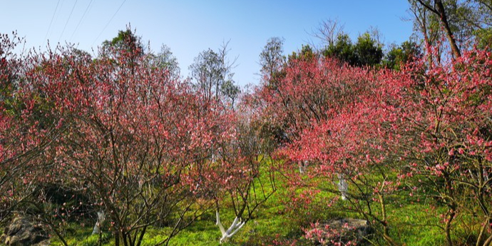 深汕桃花源风景区