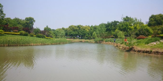 黄桥公园