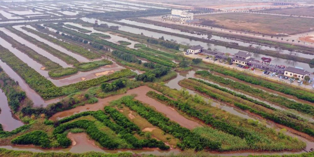 珠海平沙湿地公园