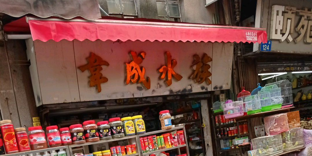韦成水景