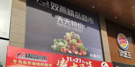双燕精品表示(大商新玛特店)