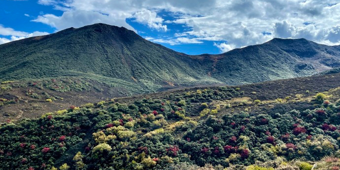 色记拉山口