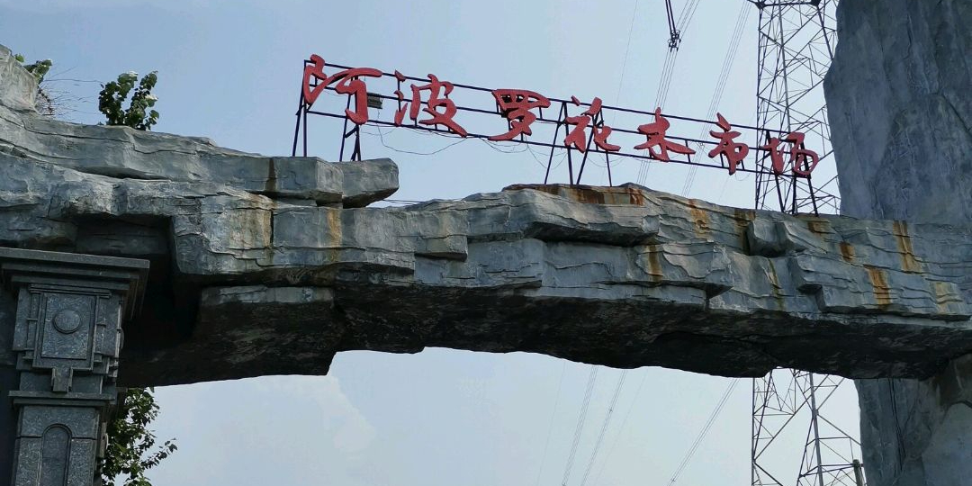 阿波罗花木批发市场