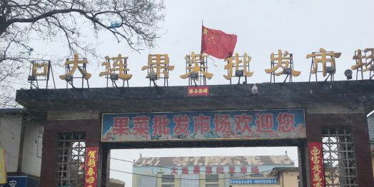 大连果菜批发市场