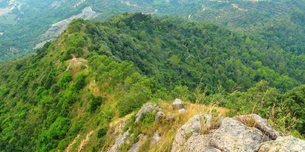 神湾丫髻山公园