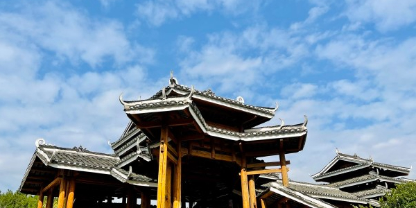 柳沙公园