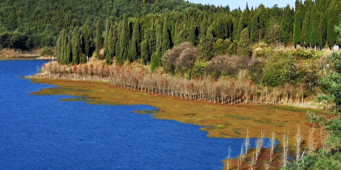 三家村水库