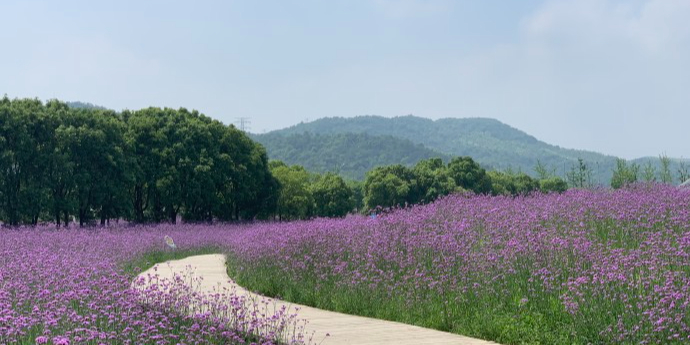 荪湖公园