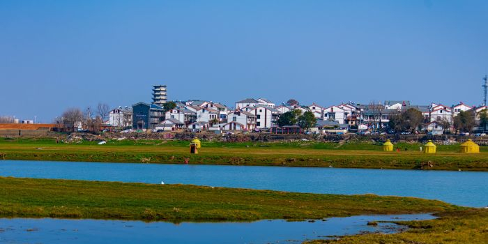 府河湿地