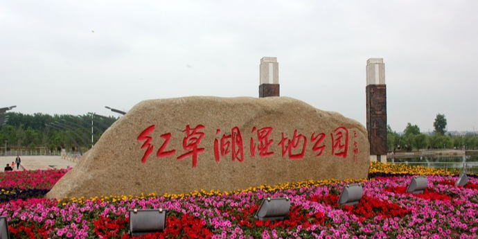天长市红草湖湿地公园